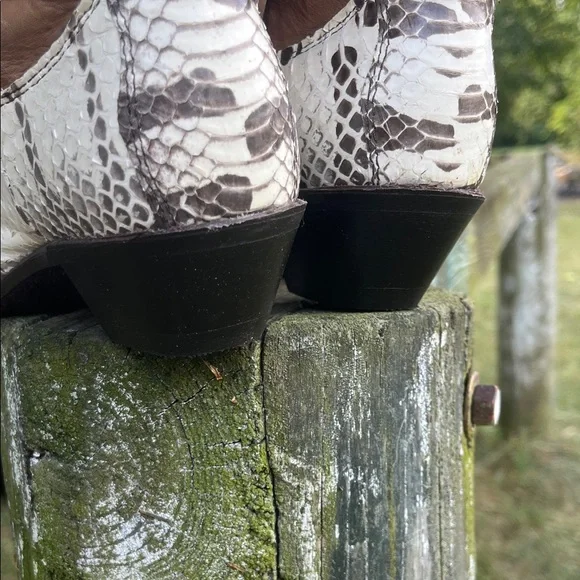 Dingo Brown and White Snake Print Heeled Boots - Picture 7 of 11